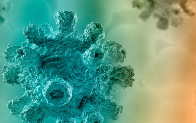 Consejos para cuidar nuestro sistema inmunitario