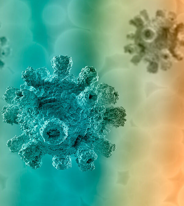 Consejos para cuidar nuestro sistema inmunitario