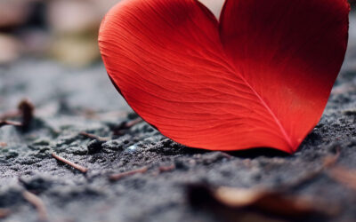 Liberación del pericardio