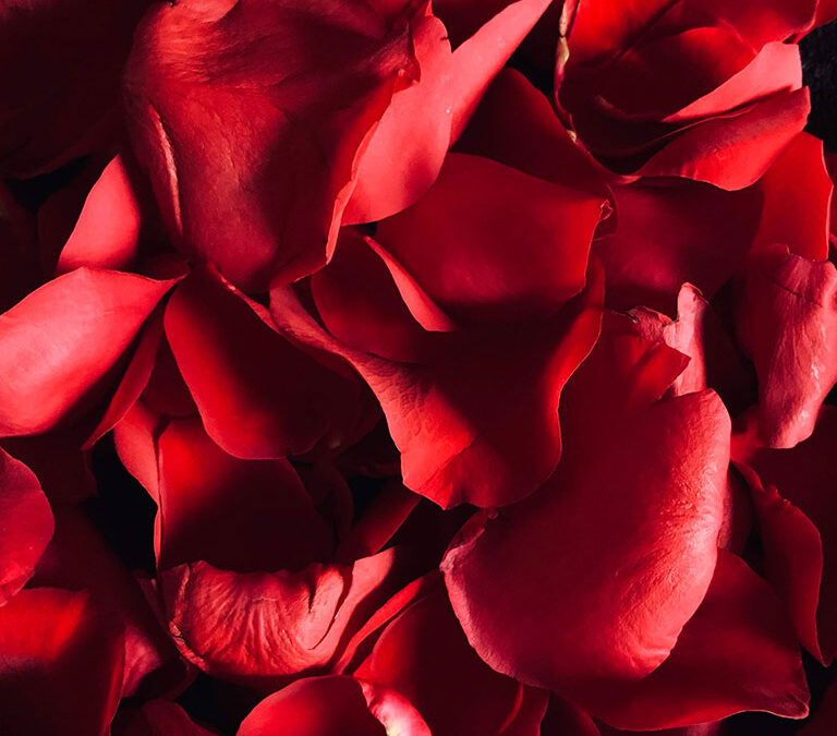 Ritual facial Pétalos de terciopelo