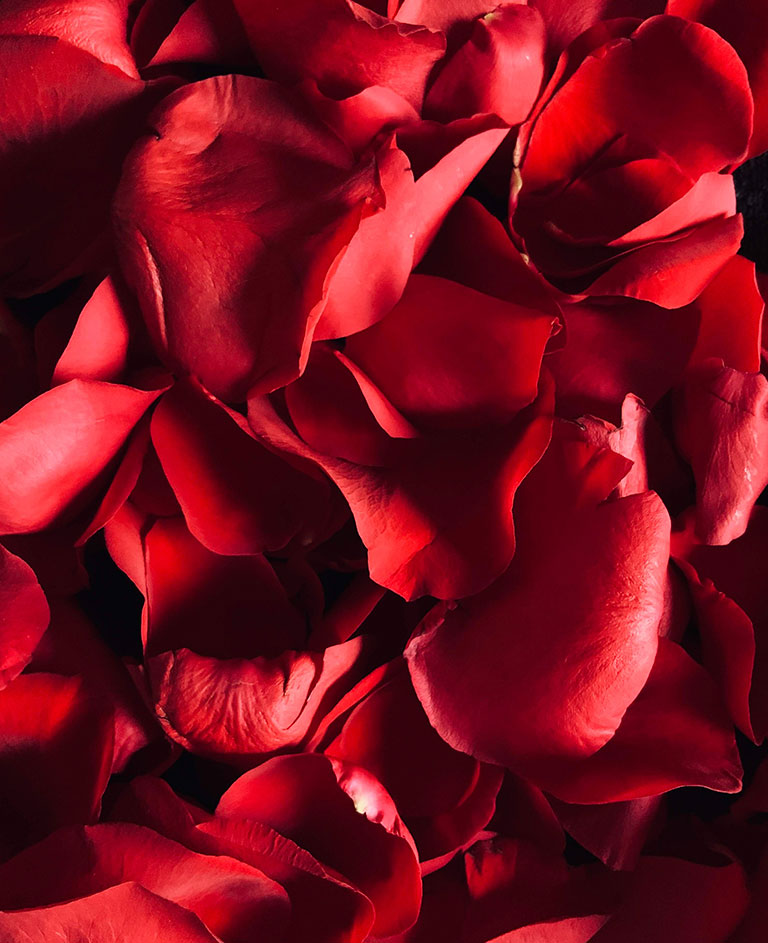 ritual-petalos ritual-petalos